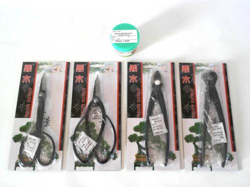 2 - Kit per Potatura Bonsai - 4 Attrezzi e mastice