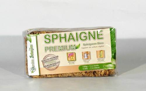 2 - Sfagno per Bonsai cileno da 150 gr.