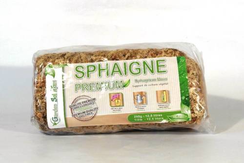 2 - Sfagno per Bonsai cileno da 250 gr.