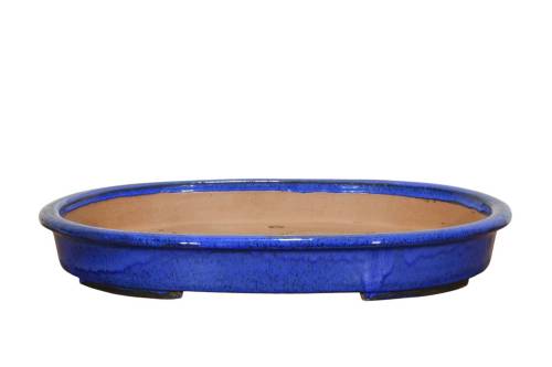 1 - Vaso bonsai ovale smaltato blu 56 cm