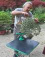 4 - Tavolo professionale da lavoro quadrato per Bonsai Green-T