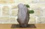 2 - Bonsai di Ginepro Kishu in pietra di luna (132)