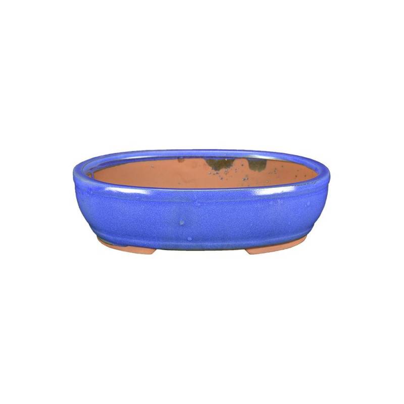 1 - Vaso bonsai ovale smaltato azzurro cm. 30