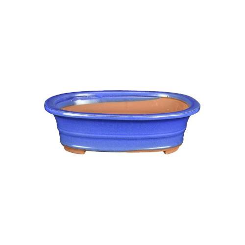 1 - Vaso bonsai ovale smaltato azzurro cm. 30