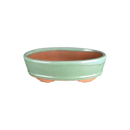 1 - Vaso bonsai ovale smaltato verde 36 cm