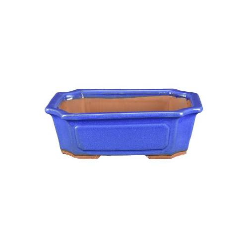 1 - Vaso bonsai rettangolare smaltato azzurro 31 cm