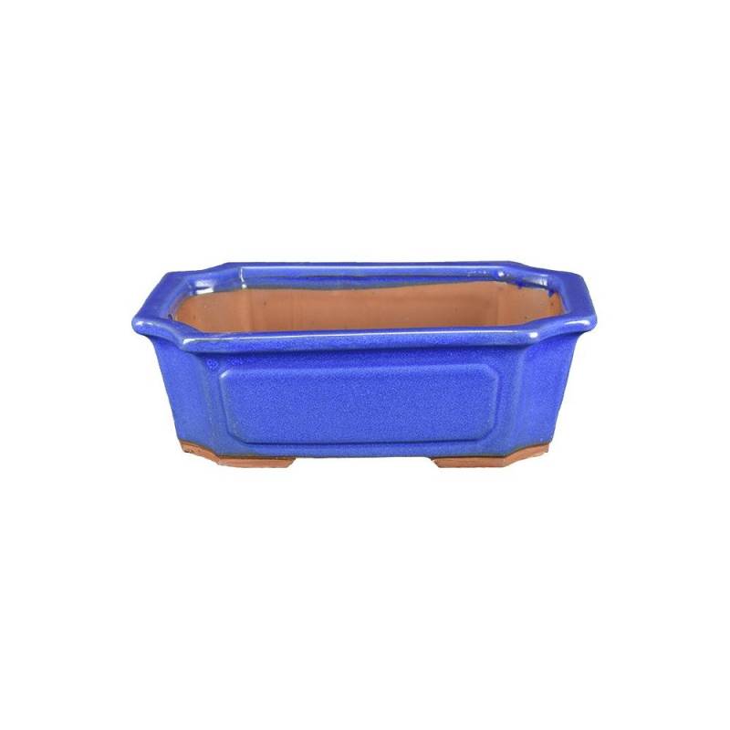 1 - Vaso bonsai rettangolare smaltato azzurro 31 cm