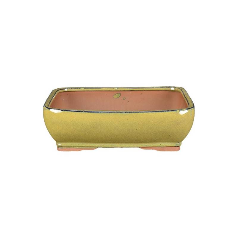 1 - Vaso bonsai rettangolare smaltato beige 30 cm