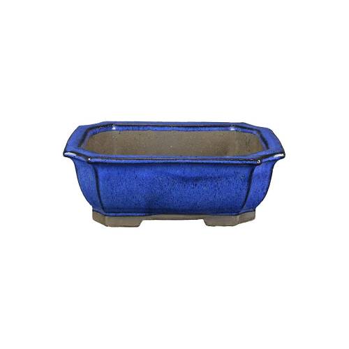 1 - Vaso bonsai rettangolare smaltato blu 31 cm