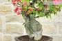 6 - Bonsai di Bougainvillea Californiana (15)
