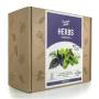 2 - Kit semi di erbe aromatiche e per infusi con accessori per la coltivazione