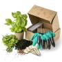 6 - Kit semi di erbe aromatiche e per infusi con accessori per la coltivazione