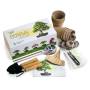 3 - Kit semi per BONSAI con accessori per la coltivazione