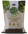 2 - Terriccio per piante grasse e succulente Torfy BIO da 10 lt.