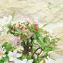 Blühender Apfel Bonsai glasierter Topf | Gastgeschenk