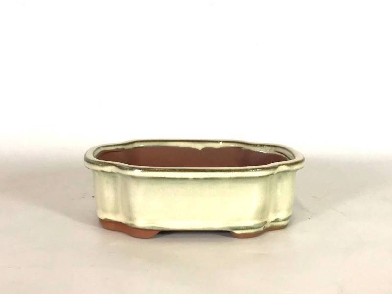 2 - Vaso bonsai smaltato a nuvola cm. 26