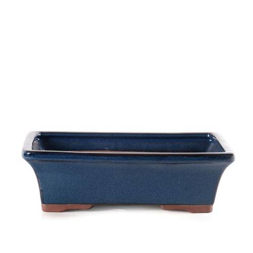 2 - Vaso bonsai rettangolare smaltato blu cm. 25