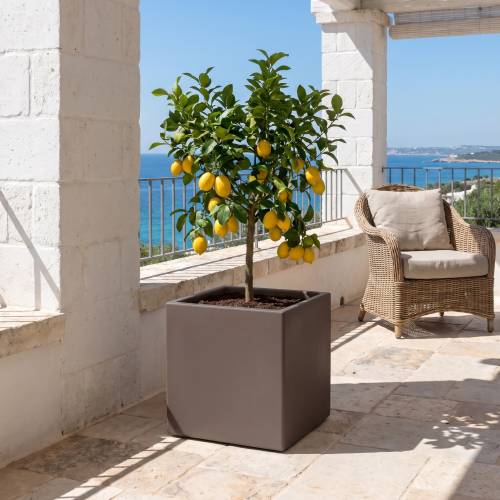 Boîte rectangulaire en résine Fenice cm. 60