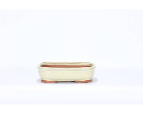 2 - Vaso bonsai smaltato rettangolare cm. 25