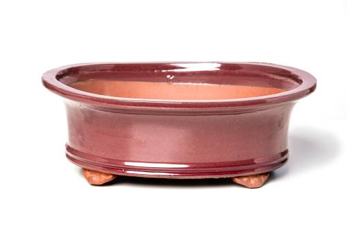2 - Vaso bonsai smaltato ovale cm. 29
