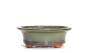 13 - Vaso bonsai smaltato ovale cm. 29