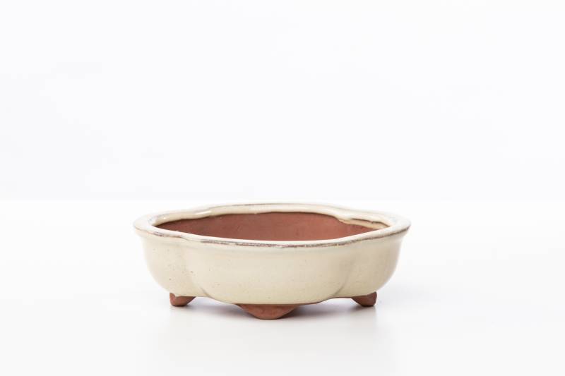 160 - Vaso bonsai smaltato a nuvola cm. 15