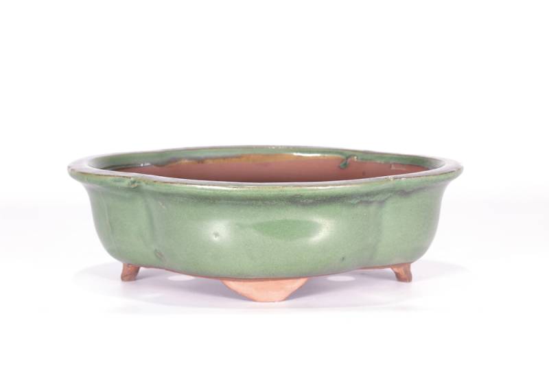 167 - Vaso bonsai smaltato a nuvola cm. 20
