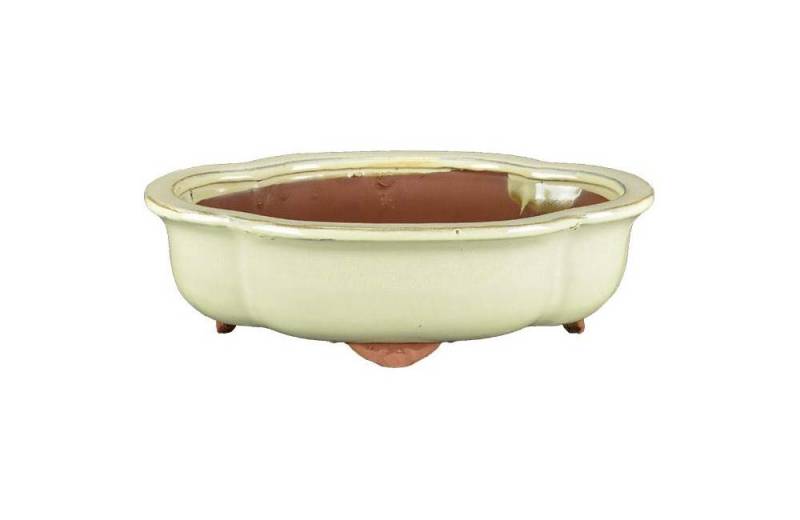 1 - Vaso bonsai smaltato a nuvola cm. 25