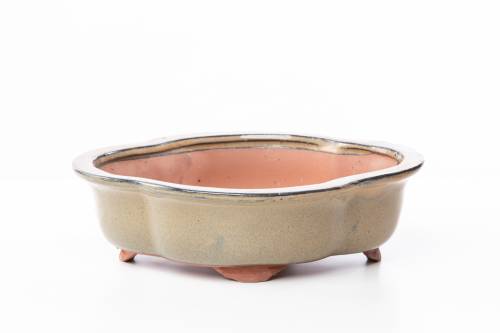 2 - Vaso bonsai smaltato a nuvola cm. 30