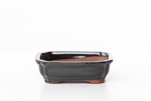 2 - Vaso bonsai smaltato rettangolare cm. 16
