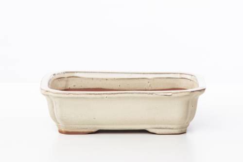 2 - Vaso bonsai smaltato rettangolare cm. 21