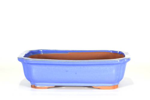 2 - Vaso bonsai smaltato rettangolare cm. 27