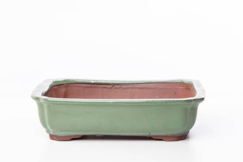 2 - Vaso bonsai smaltato rettangolare cm. 31