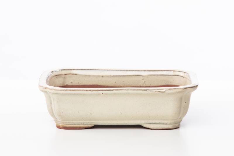 168 - Vaso bonsai smaltato rettangolare cm. 31