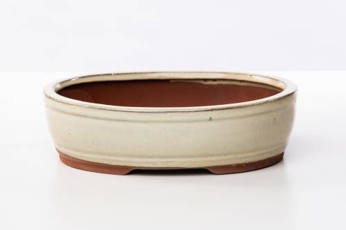 2 - Vaso bonsai smaltato ovale cm. 20