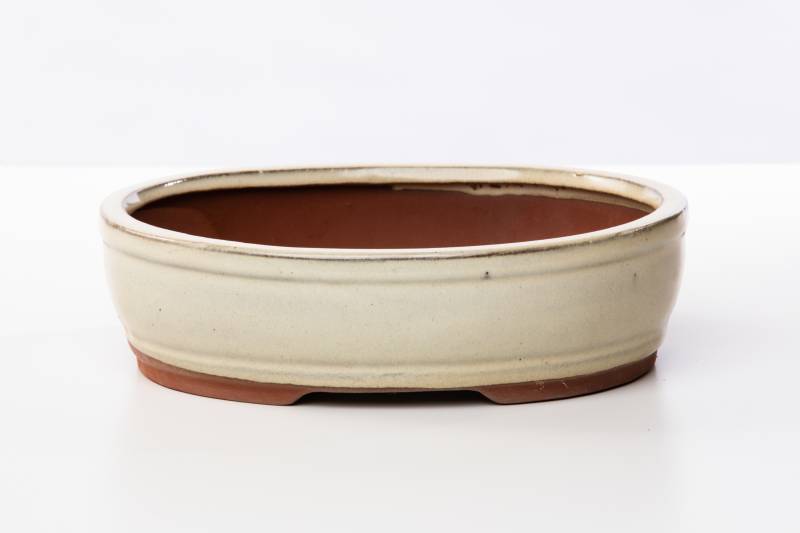 164 - Vaso bonsai smaltato ovale cm. 20