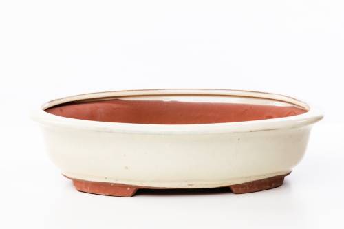 2 - Vaso bonsai smaltato ovale cm. 31