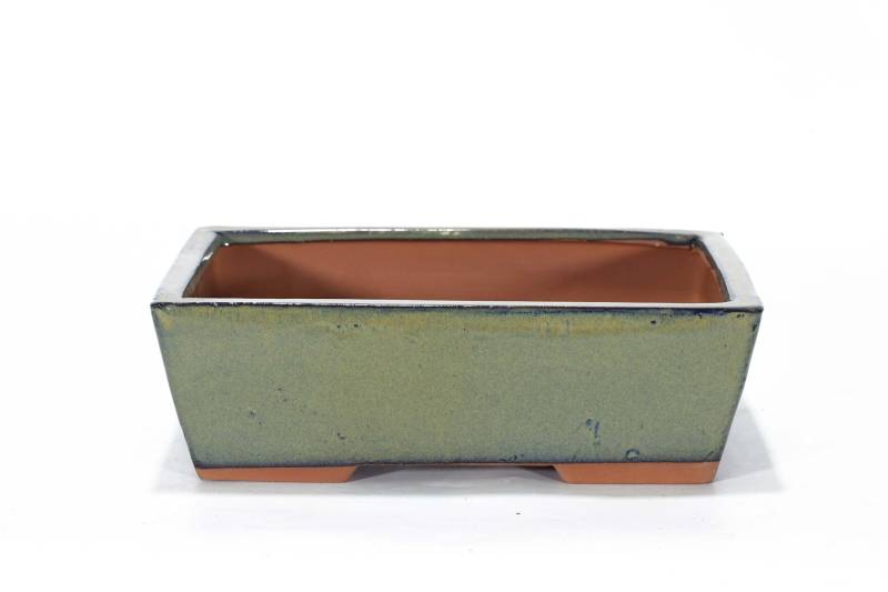 183 - Vaso bonsai smaltato rettangolare cm. 25