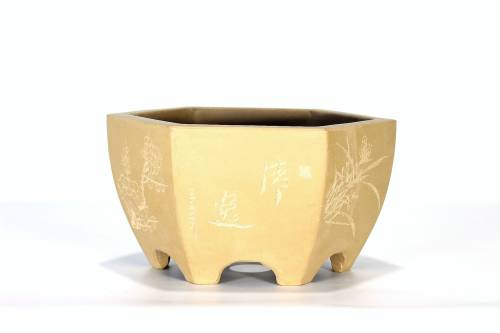 2 - Vaso bonsai esagonale cm. 21 artigianale