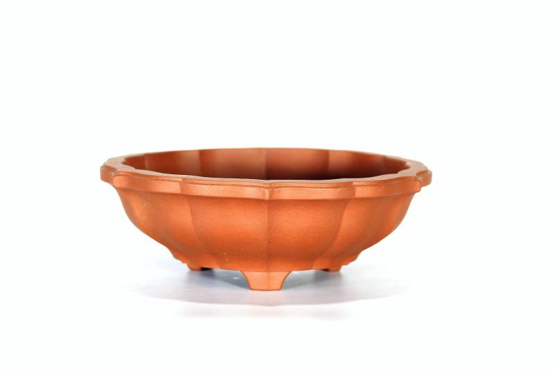 2 - Vaso bonsai fior di loto cm. 14 artigianale