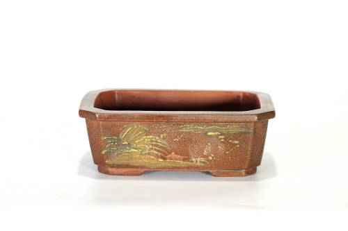 2 - Vaso bonsai rettangolare cm. 15 artigianale