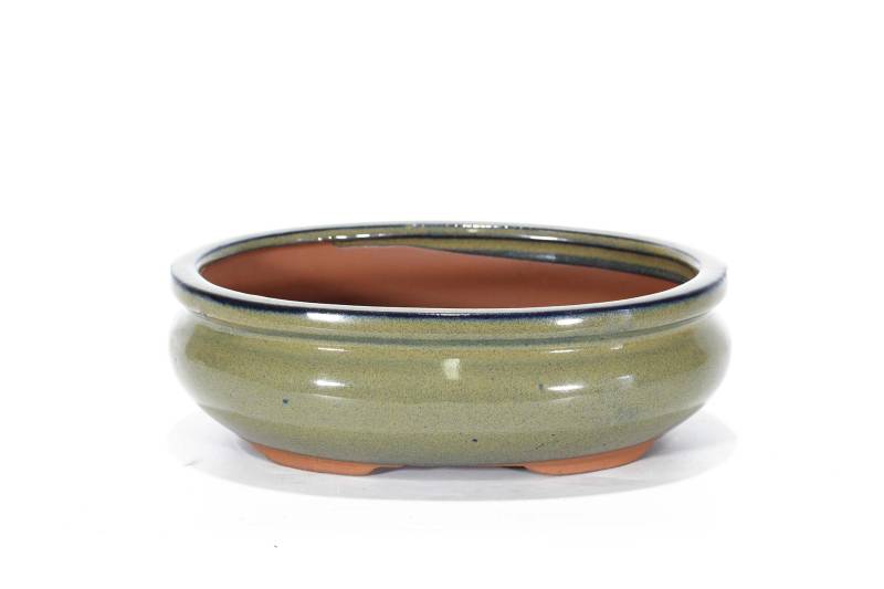 177 - Vaso bonsai smaltato ovale cm. 20