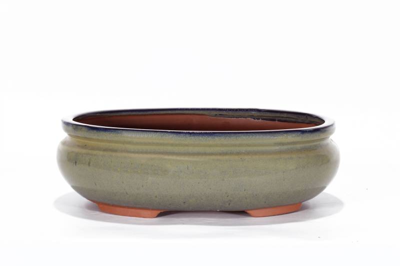 307 - Vaso bonsai smaltato ovale cm. 31