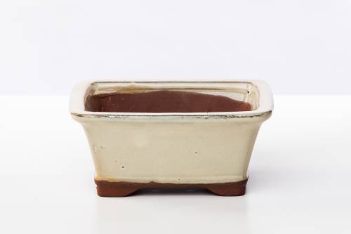 2 - Vaso bonsai smaltato rettangolare cm. 16