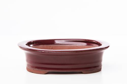 2 - Vaso bonsai smaltato ovale cm. 26