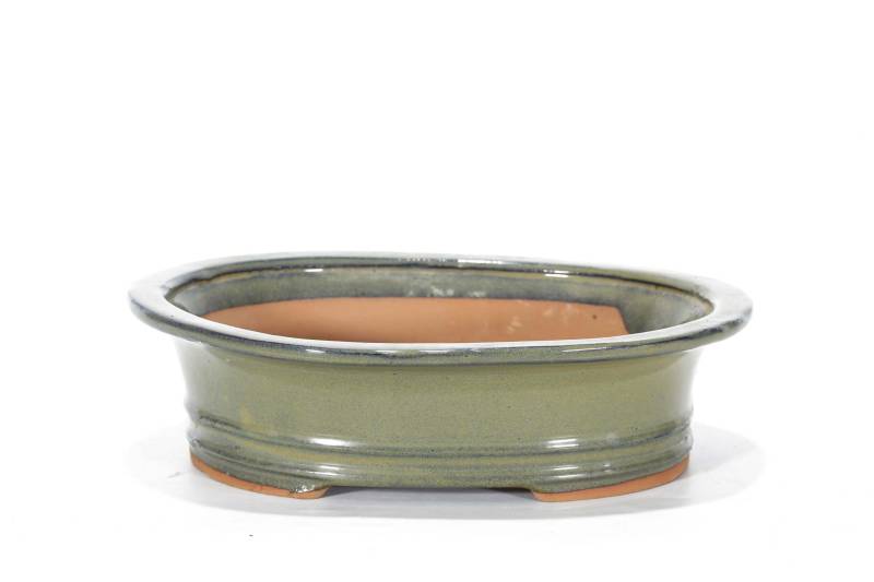 318 - Vaso bonsai smaltato ovale cm. 26