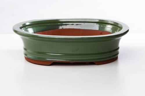 2 - Vaso bonsai smaltato ovale cm. 30