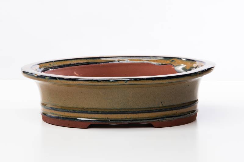 312 - Vaso bonsai smaltato ovale cm. 30