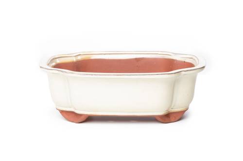 2 - Vaso bonsai smaltato rettangolare cm. 31