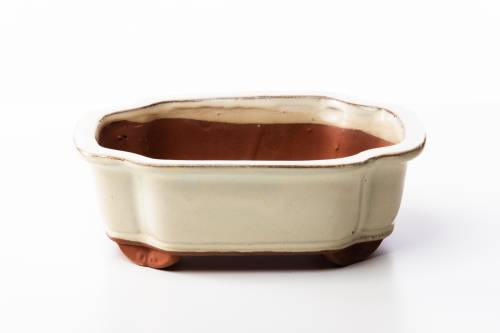 2 - Vaso bonsai a nuvola 25 cm smaltato avorio